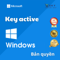 Genuine Permanent Copyright Key Pro Key, 11 Home, Windows 10 Home - Shop Premium Sky. 