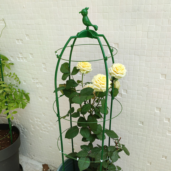 B2C Plant Climbing Trellis – Vertical Flower Support Cage – Set Of 2 – Anthracite