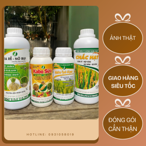 COMBO CHUYÊN LÚA TỪ ĐẦU VỤ ĐẾN CUỐI VỤ