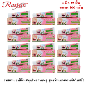 ราสยาน ยาสีฟันสมุนไพรกานพลู 100 กรัม | แพ็ค 12 ชิ้น | Rasyan ราสยาน ยาสีฟันสมุนไพร ผสมกานพลู ว่านหางจระเข้ & ใบฝรั่ง