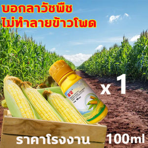 🍁ไม่ทำลายข้าวโพด บอกลาวัชพืช🍁 ฆ่าหญ้าข้าวโพด ยาข้าวโพด 100ml เข้มข้นสุดๆ ฆ่าหญ้ารอบข้าวโพด กำจัดหญ้าในไร่ข้าวโพด กำจัดวัชพืชเท่านั้น ไม่ทำลายข้าวโพด สารกำจัดวัชพืชใบแคบและใบกว้าง หญ้าตีนกา หญ้านกสีชมพู หญ้าดอกขาว ยาฉีดหญ้าข้าวโพด