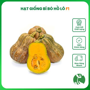 Hạt giống Bí đỏ hồ lô F1 Dream - Gói 10 hạt - Trồng quanh năm