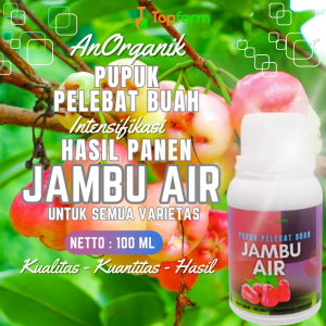 Pupuk Buah Jambu Air Super Lebat / Pupuk Buah Super Lebat Jambu Air / Pupuk Buah Jambu Air Cepat Berbuah / Pupuk Penyubur Buah Jambu Air / Pupuk Pelebat Buah
