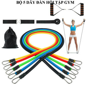 Bộ 5 Dây Kéo Tập Gym Tập Thể Lực 5 Dây Kéo Đàn Hồi Gồm 11 Chi Tiết - Q33297