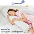 Chowa (โชวา) หมอนพิงหลังสลบเหมือด หมอนแก้ปวดหลัง หมอนข้างใบยักษ์จากเกาหลี. 