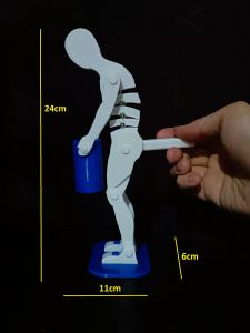 Lifting Manikin Demonstration Figure Correct Spine Posture Weight Technique Spinal Health