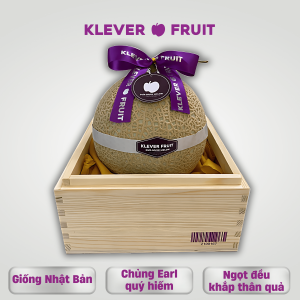 Dưa Giống Nhật Musk Melon - 01 quả - Klever Fruit