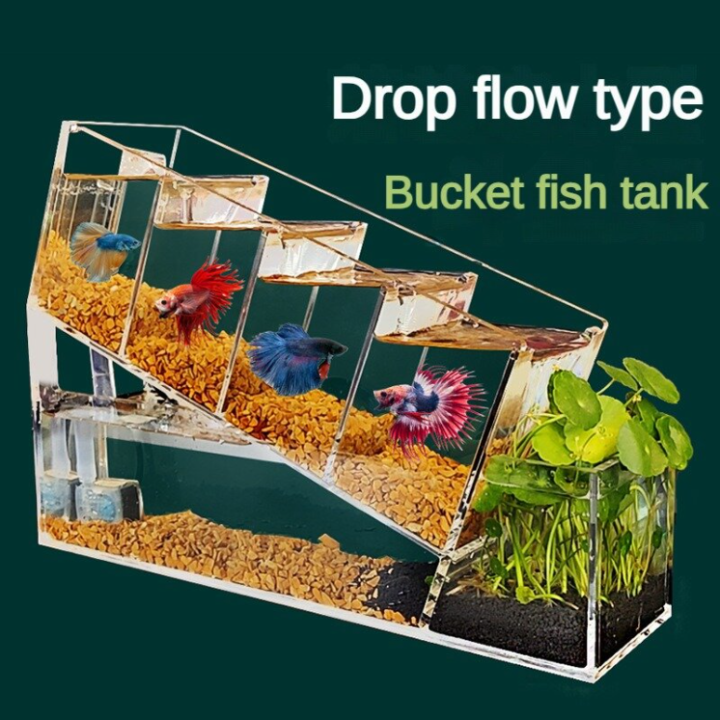 Photo inspiration: Fresh Look at Creative Fighting Fish Aquarium Acrylic Small Multi Compartment Self