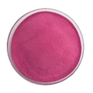 Cranberry Powder Instant Concentrate Pulbos na katas ng prutas Plant‑Derived Food Raw Material