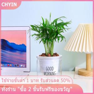[COD] PkYeG TOOL กระถางดอกไม้ไฮโดรโปนิกส์ใส่น้ำอัตโนมัติกระถางดอกไม้พลาสติกสองชั้นใสรดน้ำด้วยตัวเองสำหรับสำนักงาน