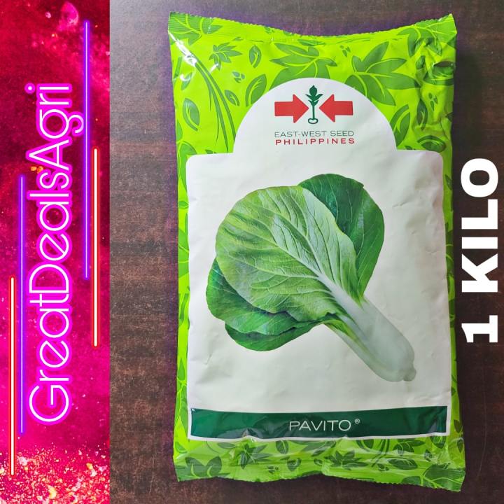 PAVITO (1 KILO) PECHAY SEEDS BY EAST WEST SEEDS ORIGINAL PACKING ...