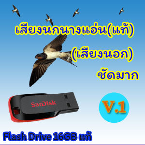 เสียงเรียกนกนางแอ่น (เสียงเรียกนอก แท้) V.1 เสียงดีมากชัดล้าน% Flash Drive 16GB แท้