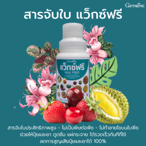 สารจับใบ ประสิทธิภาพสูง แว็กซ์ฟรี ไม่เป็นพิษต่อพืช ซึมไว กระจายตัวรวดเร็ว
