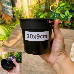 CND5STVN - Chậu tròn đen nhựa PVC dầy chuyên ươm trồng cây kiểng size 10x9cm (xem mô tả)