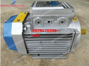 Motor toàn phát 15kw tốc chậm