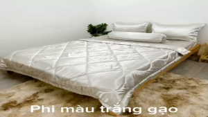 Bộ ga gối phi màu trắng gạo - giặt máy thoải mái hàng loại 1 không pha/ga gối giường phi / changagoiminhanh