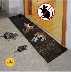 MOUSE TRAP RAT TRAP RAT BAIT MICE CATCHER REUSABLE SPRINT RODENT TRAP EASY CATCHER / HULI DAGA #CPLA