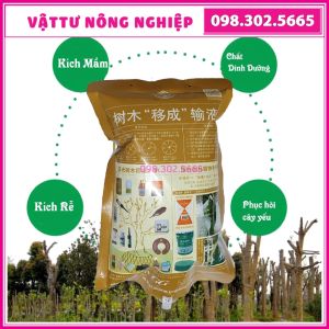 Dịch truyền dinh dưỡng cho cây công trình cây già yếu túi 1 lít xanh da trời