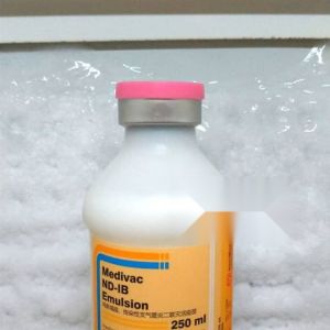 Vaksin Ayam Medivac ND IB EMULSION 250ml