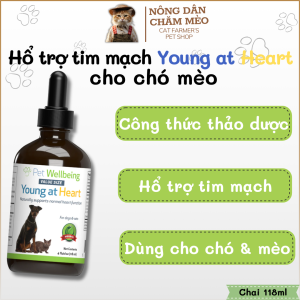 Pet Wellbeing - Young at Heart - Hỗ Trợ Sức Khỏe Tim Mạch Cho Chó Mèo - chai 59ml
