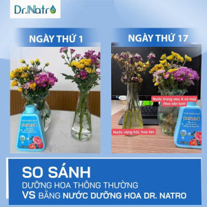 Dung Dịch Dưỡng Hoa DR.NATRO 300ml – Dưỡng Tươi Chống Thối Cành Tăng Độ Bền Hoa