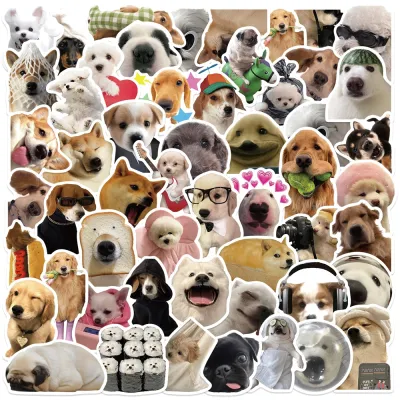 50Pcs Funny Cat Graffiti Stickers Water Cup Guitar Skateboard Phone Trolley Case Laptop Desktop Helmet Toys Decoration Stickers Cute stickers