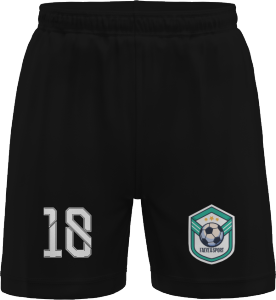 Kaos Printing Jersey Futsal GM 01  FAEYZA SPORT