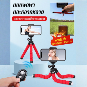 ขาตั้งกล้อง มัลติฟังก์ชั่น ปรับได้ ที่วางโทรศัพท์มือถือมัลติฟังก์ชั่น ถอดออกได้ เครื่องมือถ่ายภาพที่เสถียร