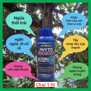 Phyto-Phoscop ĐẲNG CẤP DIỆT NẤM BỆNH Chai 1 lít tỉ trọng 1.5 trừ Nấm Thành phần Copper Chelate ( Đồng- Cu ): 40.000 ppm _ Phosphite : ( Lân hữu hiệu _P205 ): 27% Khuẩn Rong Rêu Đốm Mắt Cua Nấm Hồng Sương Mai Thán Thư Tuyến Trùng