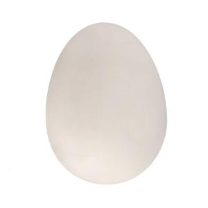 Realistic Fake Eggs Prank Novelty Item Fun Trick For Comedy Scares And Gag Gifts