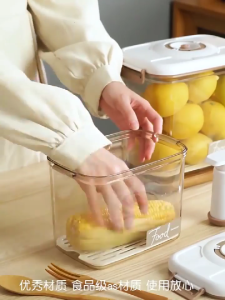 Large Capacity Vacuum Sealer for Case with Air Pump Grade Kitchen Fruits Veggies Storage Box 1200/2100/2700/4600ml