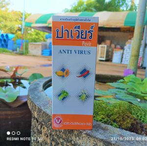 ปาเวียร์ ยาสร้างภูมิต้านทานไวรัส โรคใบหงิกเหลืองในพริก โรคจุดวงแหวนมะละกอ ถั่ว มะเขือเทศ ขนาด500ซีซี