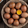 TELUR AYAM NEGERI 1KG KHUSUS PENGIRIMAN AREA JAWA TIMUR BACA DISKRIPSI PRODUK. 