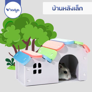 บ้านแฮมสเตอร์ บ้านคู่หลังใหญ่ (HA02) ของเล่นแฮมเตอร์ Hamster House