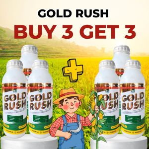 [BUY 3 GET 3] Gold Rush 370 SC Insecticide for Rice 1000ML – Effective Pest Control for Planthoppers & Black Bugs App