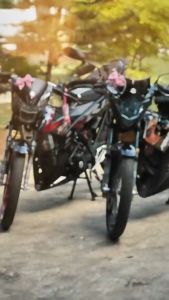 Motorcycle Helmet Decoration Electric Bike Helmet Bow Style Bowknot for Car Body Decoration Accessor