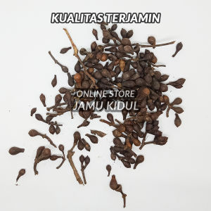 Ceplikan 1kg / Ceplik Sari Kering Asli Hutan - Lebih Berkhasiat