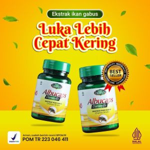 Kapsul ALBUCAPS Original Ikan Gabus Albumin Kutuk Obat Luka Operasi Luar Dalam 60 Kapsul