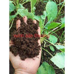 Phân Trùn Quế Hữu Cơ Vườn Nuôi 2Kg