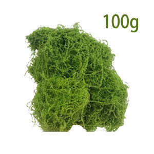 100g Artificial Moss – for DIY Microlandscapes Bonsai Rock Gardens & Fake Scenes