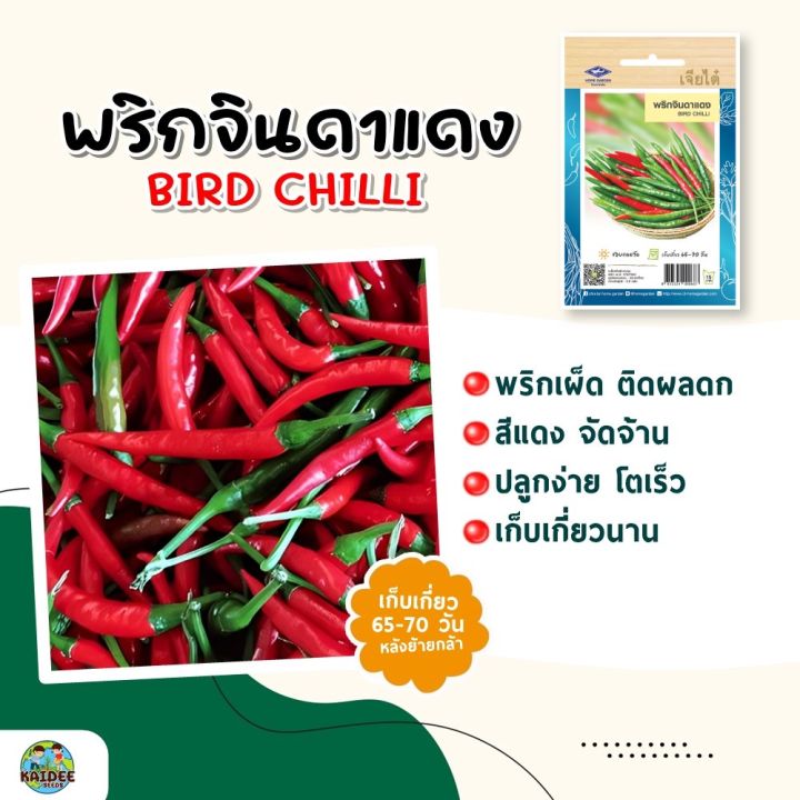 เมล็ดพริกจินดาแดง เจียไต๋ เผ็ดจัดจ้าน สีแดงสวย