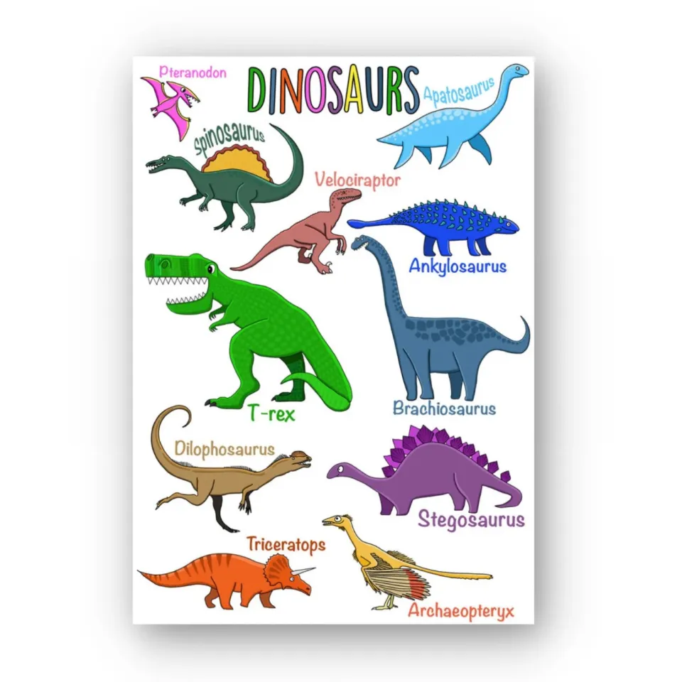 Laminated Different Dinosaurs Types Illustration Dinosaur Poster