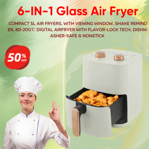 5L Air Fryer Oil Free Electric Non Stick Basket with Temperature Control Adjustable Temperature