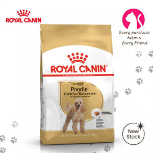 Royal Canin Poodle Adult 1.5kg Dry Dog Food - Breed Health Nutrition for Toy & Miniature Poodles Over 10 Months Old | Tailor-Made Kibble for Coat Care Muscle Tone & Dental Health [New Stock]