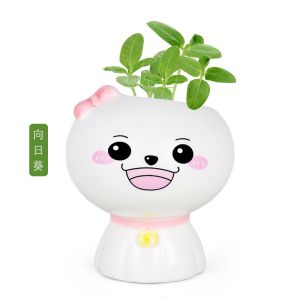 Pasu Tanaman Mini Comel Hadiah Hiasan Meja Hijau Dalaman Untuk Pejabat Rumah Tadika Creative Mini Pot Plant Cute Plant Office Desktop Green Plant Kindergarten Gift 创意盆栽迷你可爱植物办公室桌面绿植室内摆件幼儿园毕业奖品礼物 E443
