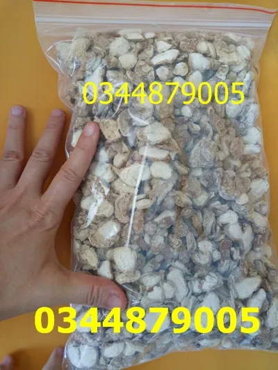 C%E1%BB%A7%20x%C3%A1%20k%C3%A9n/x%C3%A1%20ki%E1%BA%BFng%20kh%C3%B4%200.5kg%20-%20Image%204