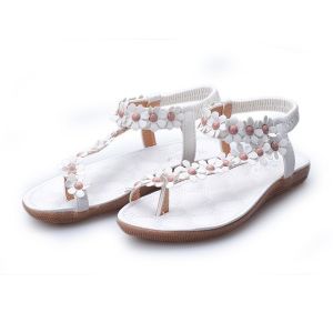 Free Shipping Bohemian Sandals WomenS Flip-Flops New Summer Styles Toe-Post Sandals With Floral Designs Korean-Style Flat-Heeled Shoes