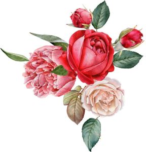 Hình nhiệt ủi áo Nhiều mẫu HOA đẹp -in áo tại nhàHình cute in áo tại nhà bằng bàn ủi (Nhiều kích cỡ & Mẫu)-NHẬN IN THEO YÊU CẦU