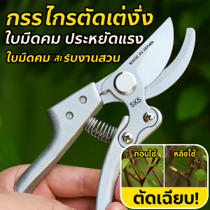 กรรไกรตัดแต่งกิ่ง ทนทานและทนต่อการกัดกร่อน กรรไกรตัดแต่งกิ่งผลไม้ กรรไกรตัดแต่งกิ่งสวนผลไม้กลางแจ้ง เครื่องมือทำสวน
