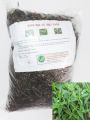 Bạch Hoa Xà Thiệt Thảo (Cỏ Lưỡi Rắn) Khô 01KG Loại 1 l1 .. 